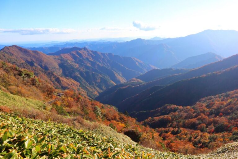 瓶ヶ森　紅葉