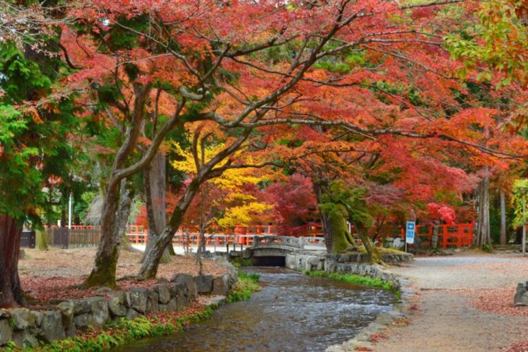 上賀茂神社　紅葉