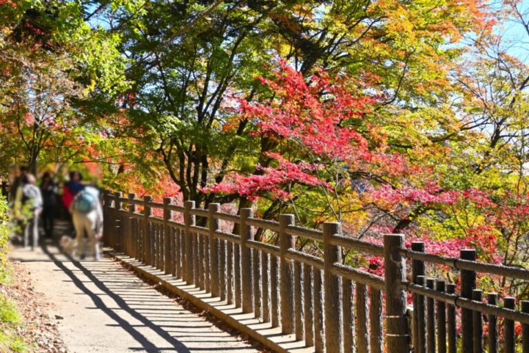 御岳山　紅葉