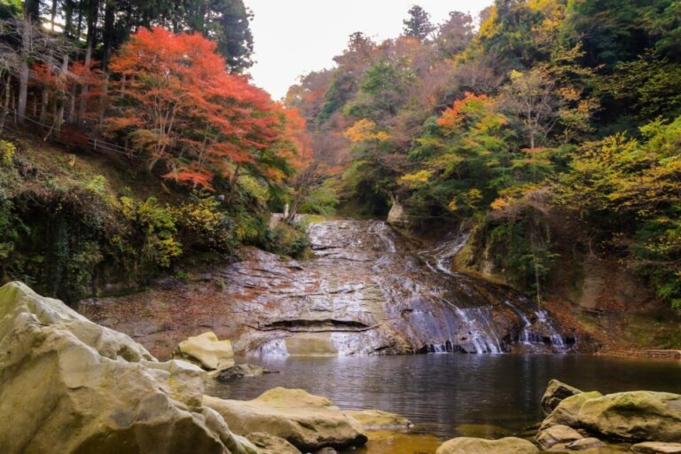 養老公園　秋