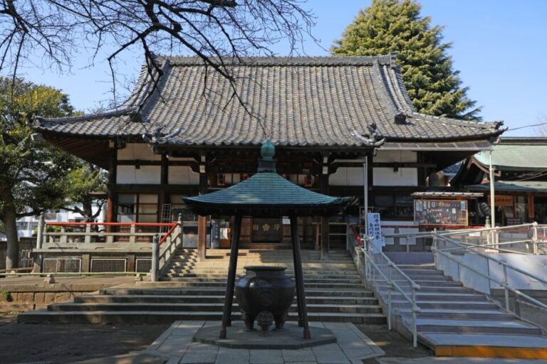 新井薬師梅照院　初詣