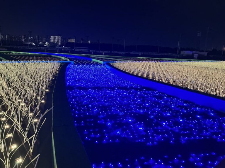 大井競馬場　イルミネーション