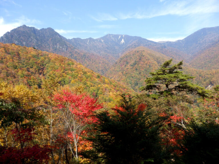 西沢渓谷 紅葉