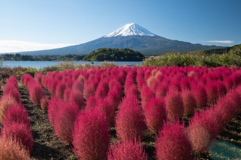 河口湖　紅葉