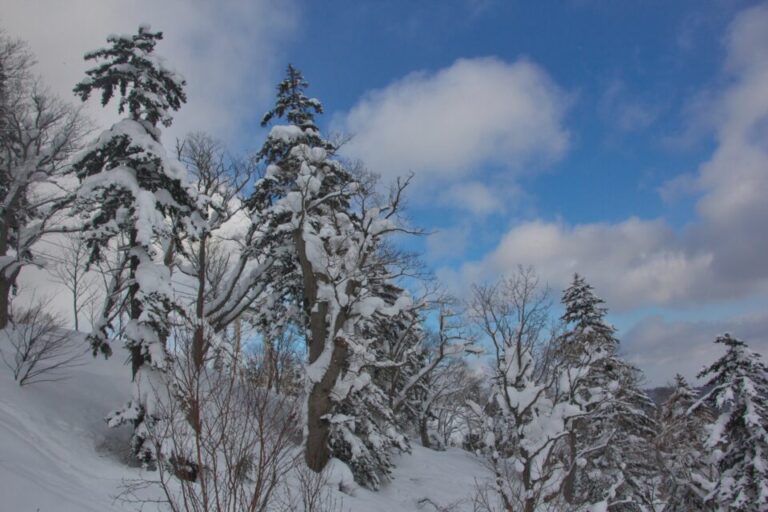 札幌国際スキー場　リフト券　割引プラン